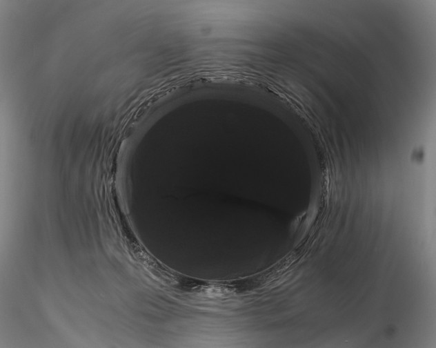 X0000116120223200912071353