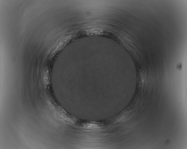 X0000116120224200912071353