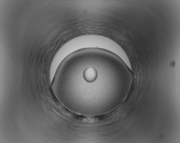 X0000116120225200912071353