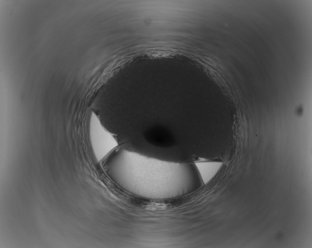 X0000116120227200912071353