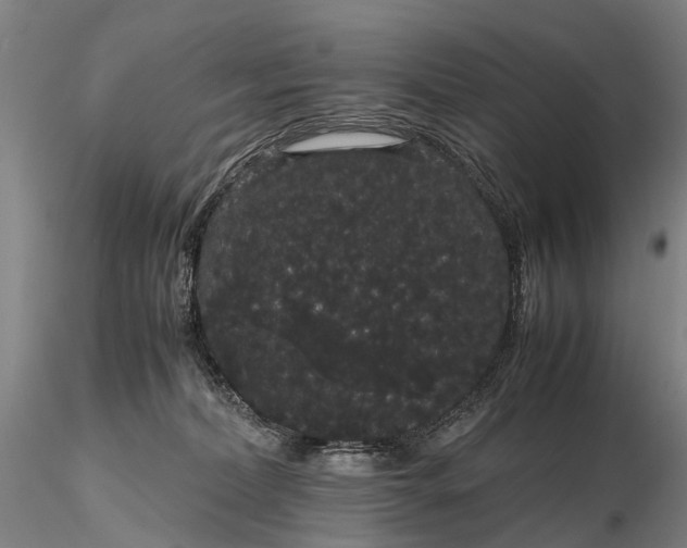 X0000116120228200912071353