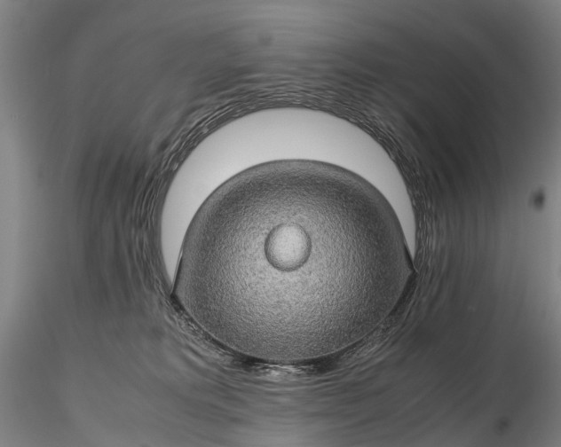 X0000116120229200912071353