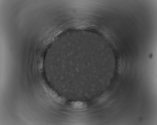 X0000116120230200912071353