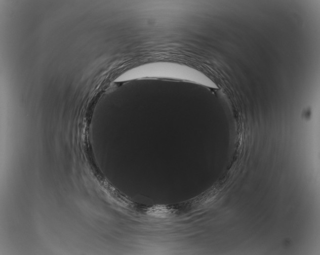 X0000116120231200912071353