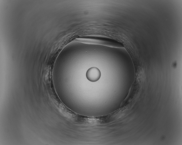 X0000116120233200912071353