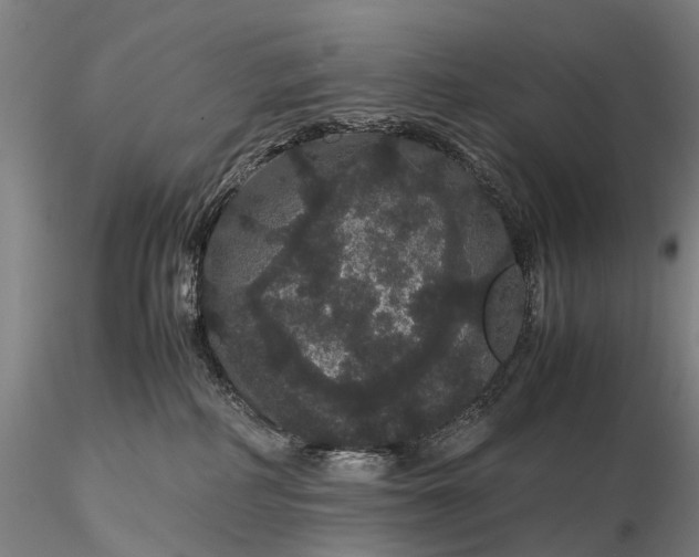 X0000116120234200912071353