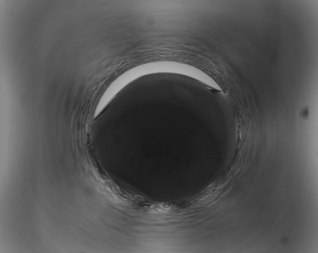 X0000116120235200912071353