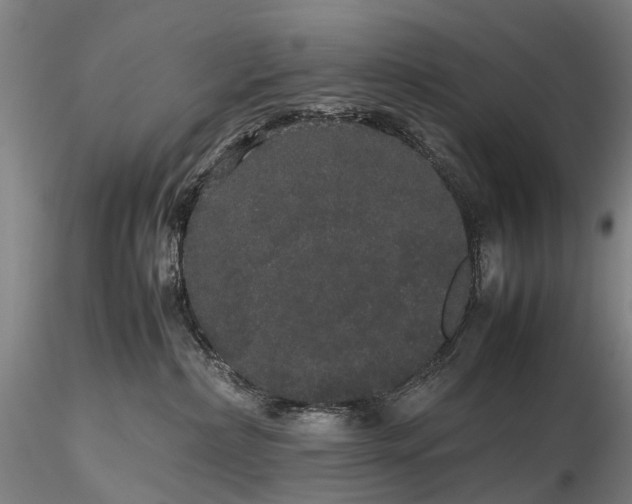 X0000116120236200912071353