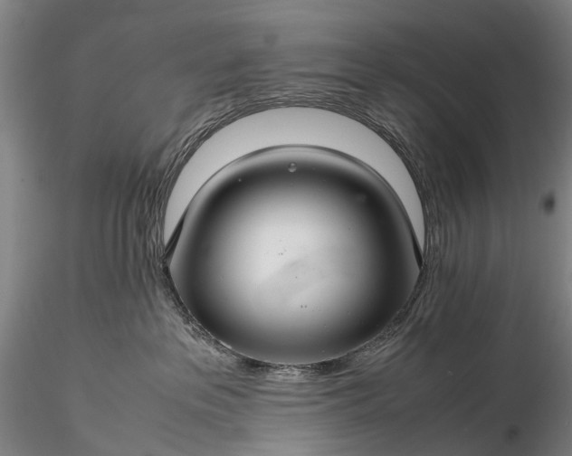 X0000116120237200912071353