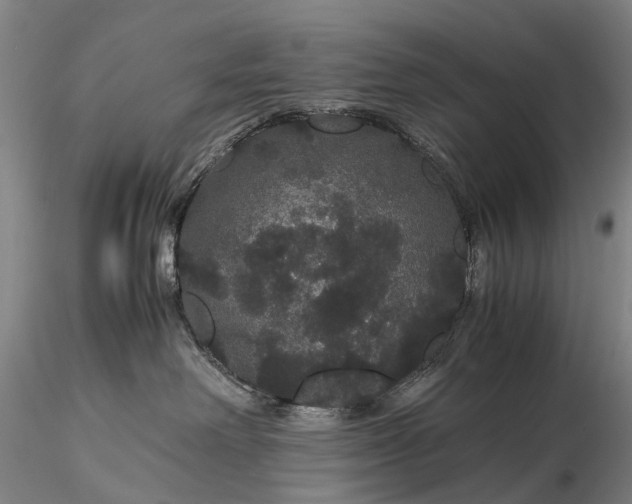 X0000116120238200912071353