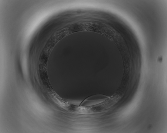 X0000116120239200912071353