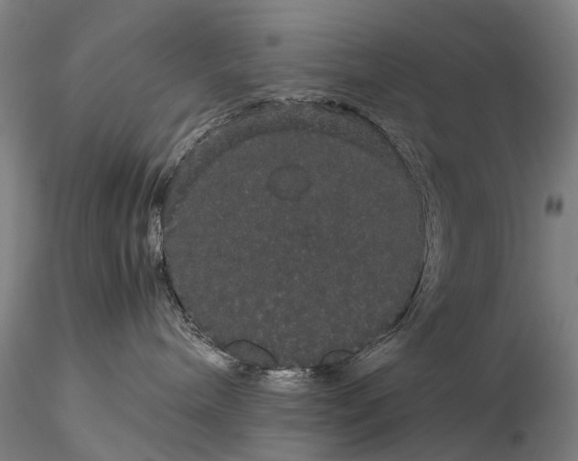 X0000116120240200912071353