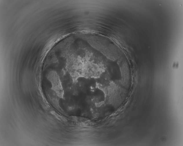 X0000116120241200912071352