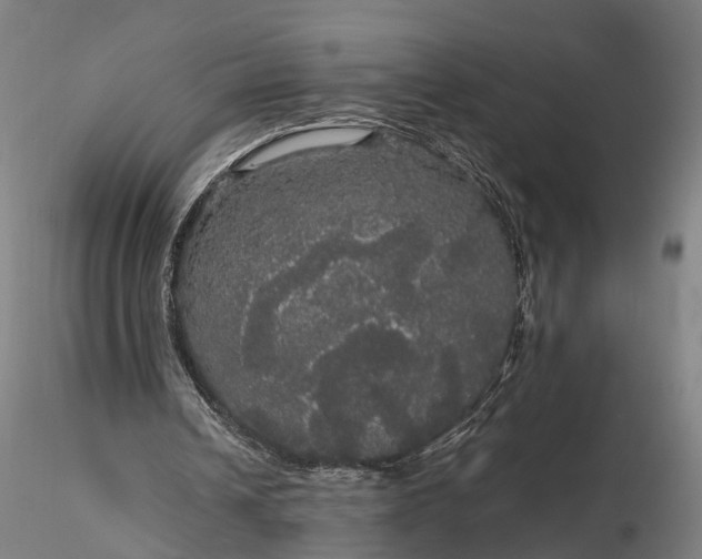 X0000116120242200912071352