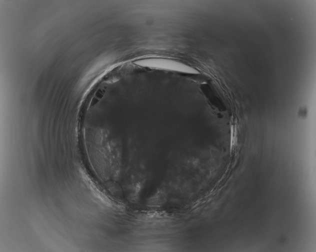 X0000116120243200912071353