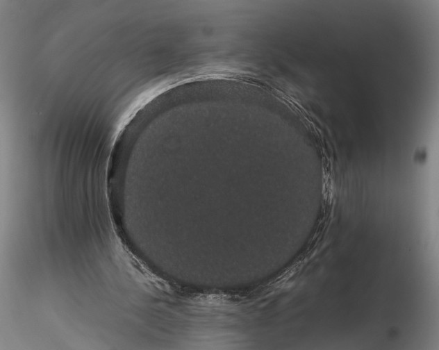 X0000116120244200912071353