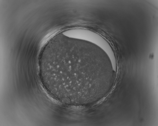 X0000116120245200912071353