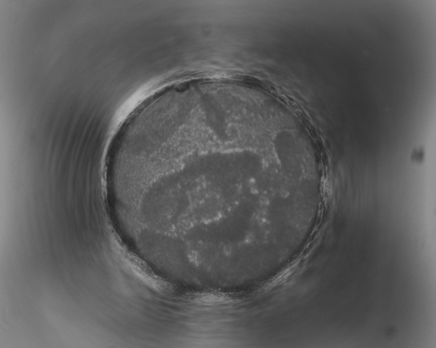 X0000116120246200912071353