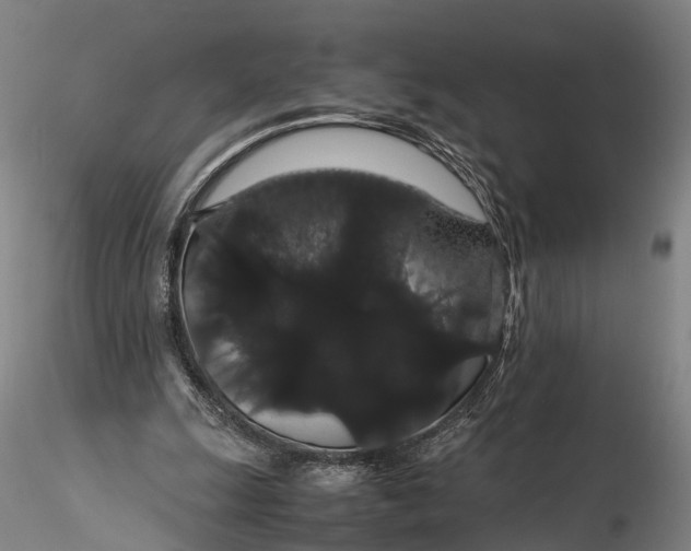 X0000116120247200912071353