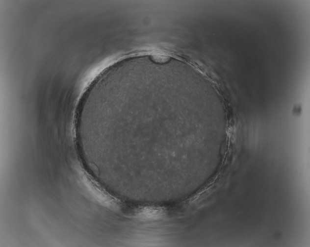 X0000116120248200912071353