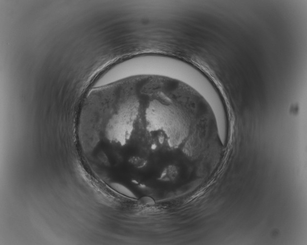 X0000116120249200912071353