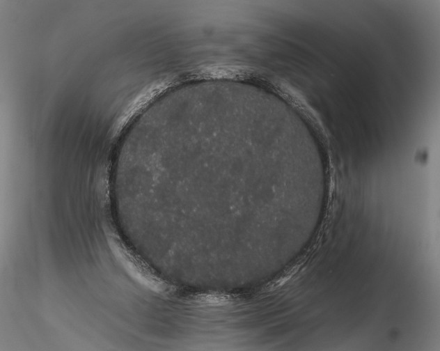 X0000116120250200912071353