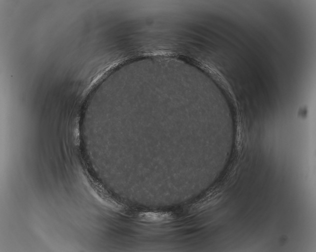 X0000116120251200912071353