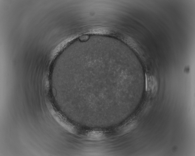 X0000116120252200912071353