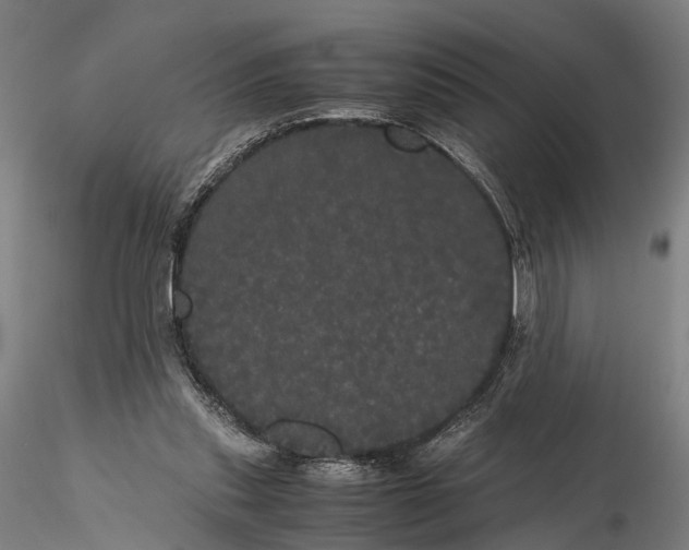 X0000116120253200912071353