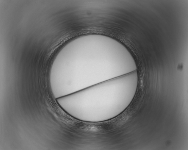 X0000116120254200912071353