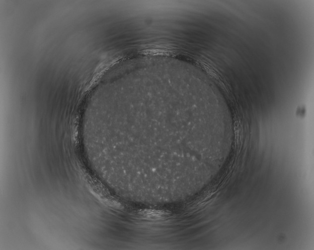 X0000116120255200912071353