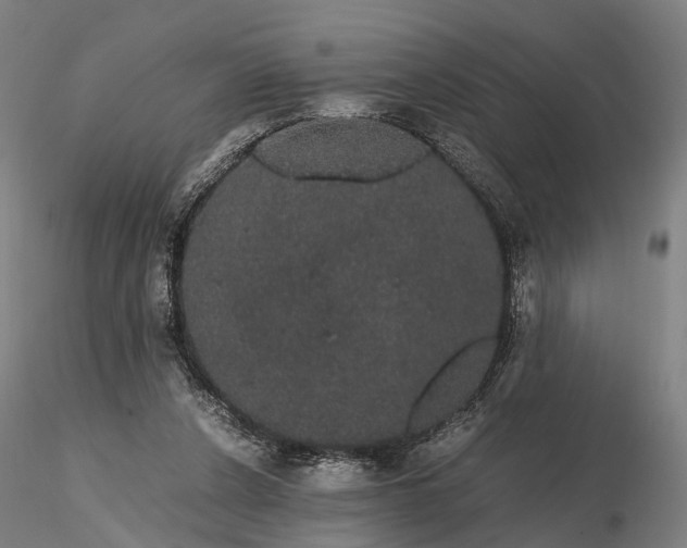 X0000116120256200912071353