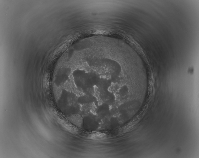 X0000116120257200912071353