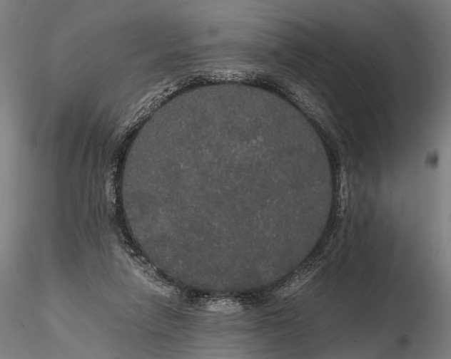 X0000116120258200912071353