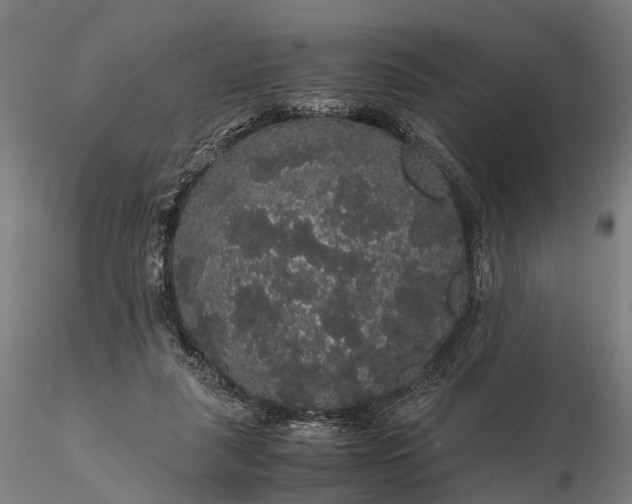 X0000116120259200912071353