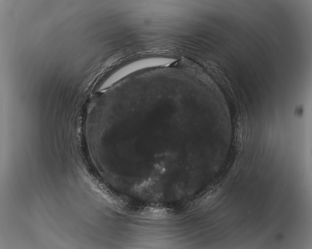 X0000116120260200912071353