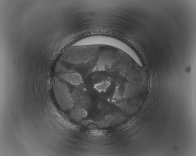 X0000116120261200912071353