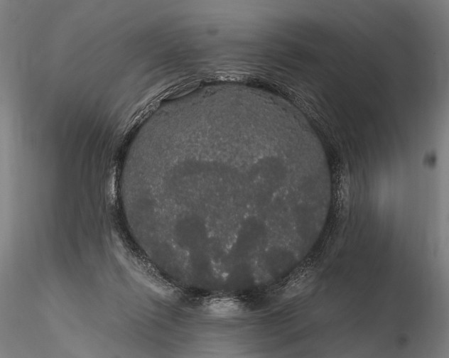 X0000116120262200912071353