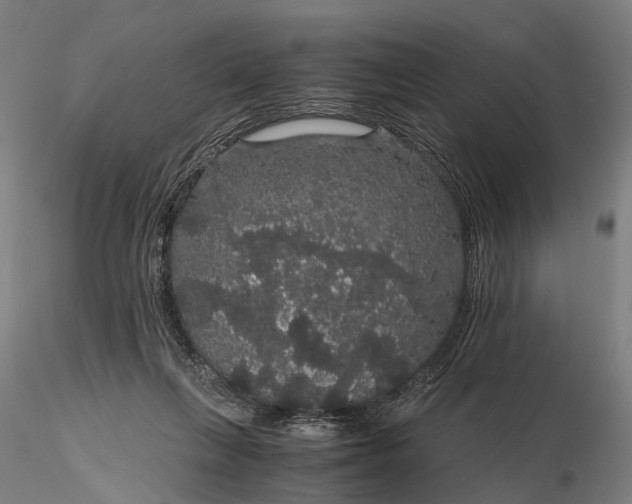 X0000116120263200912071353