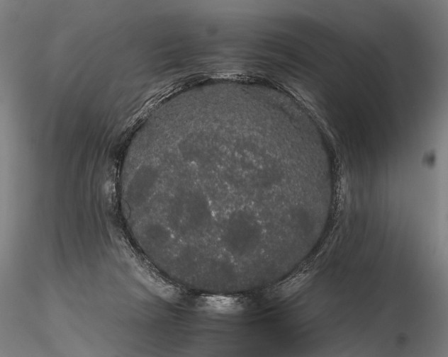 X0000116120265200912071353