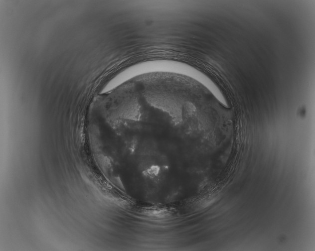 X0000116120267200912071353