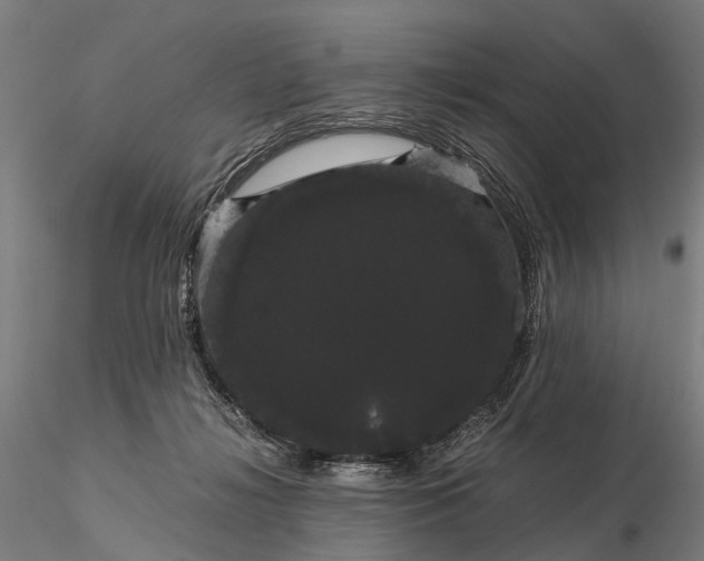 X0000116120268200912071353