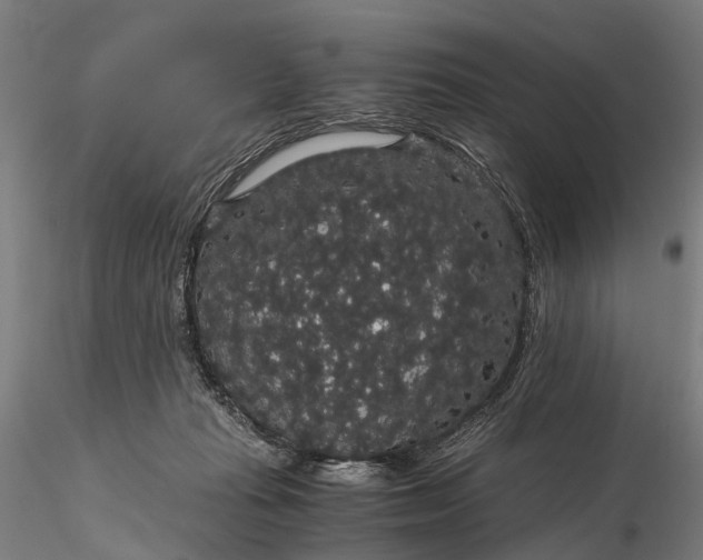 X0000116120269200912071353