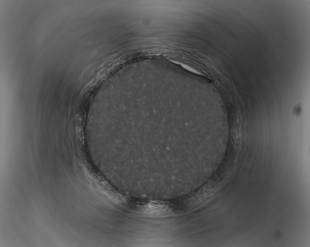 X0000116120270200912071353