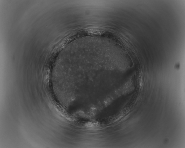 X0000116120271200912071353