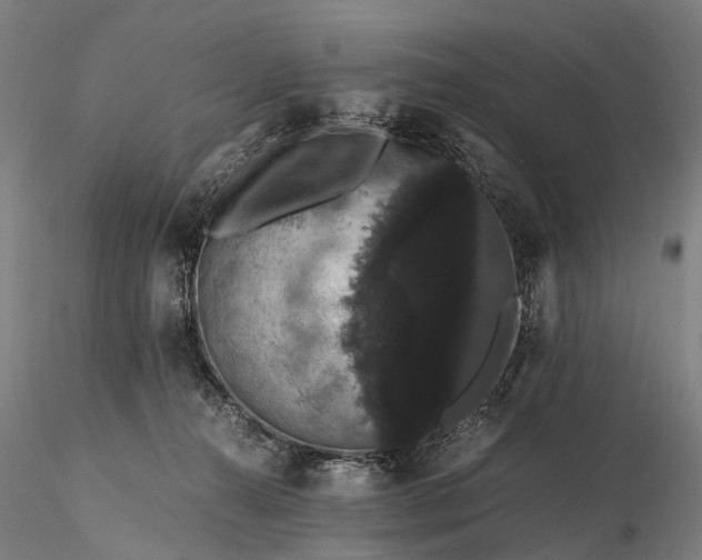 X0000116120272200912071353