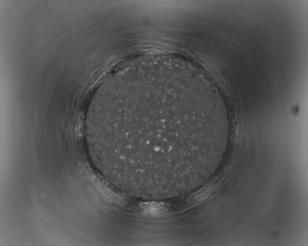 X0000116120273200912071353