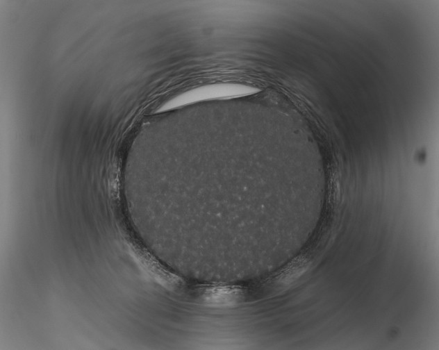 X0000116120274200912071353