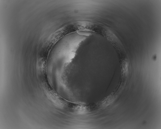 X0000116120276200912071353