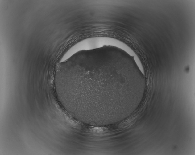 X0000116120277200912071353